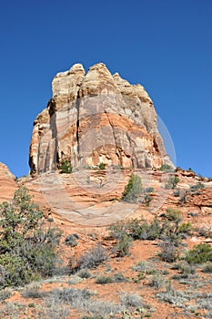 Hiking calf creek falls in escalante utah