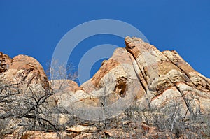 Hiking calf creek falls in escalante utah