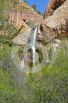 Hiking calf creek falls in escalante utah