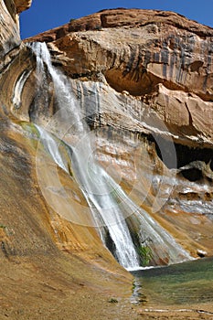 Hiking calf creek falls in escalante utah