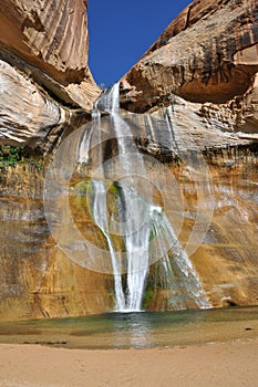 Hiking calf creek falls in escalante utah