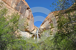 Hiking calf creek falls in escalante utah photo