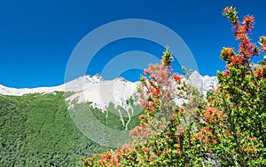 Hiking, camping and backpacking on iceberg and snow with the views of the Andes mountains and lake near Refugio Italia Manfredo photo