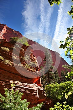 Hiking through the canyon at Taylor Creek in Zion National Park