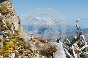 Hiking Castle Peak in Gifford Pinchot National Forest