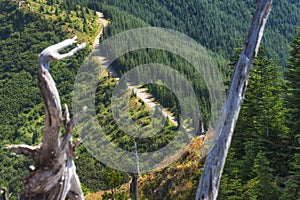 Hiking Castle Peak in Gifford Pinchot National Forest