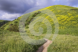 Hiking at Chino Hills State Park