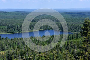 Hiking in clean Finnish nature in Kuusamo, Finland photo