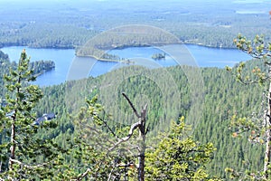 Hiking in Finnish Lapland in Kuusamo, Finland photo