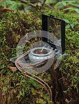 Hiking Compass In Forest