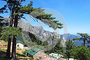 Hiking in Corsica, trees and rocky mountains, France