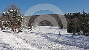 Hiking and cross country skiing trail in Mont Saint Bruno national park, Quebec