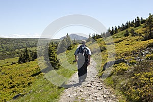 Hiking in Czech republic