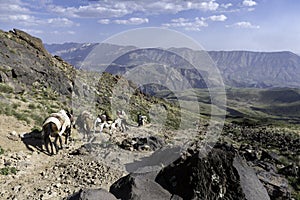 Hiking Damavand Volcano in Iran