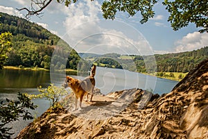 Hiking dog at the Rursee in the Eifel National Park Germany