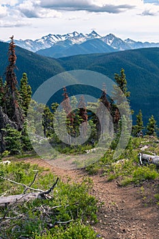 Hiking the Dry Ridge Trail in Manning Park, BC, Canada