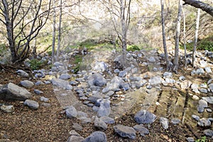 Hiking at Eaton Canyon Falls Trail