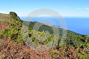 Hiking at the Fairy forest in Fanal with ancient laurel trees in Madeira, Portugal