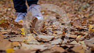 Hiking through the fallen leaves