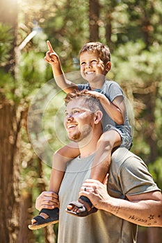 Hiking, family and a boy pointing with his dad while sitting on his shoulders outdoor in the forest or woods. Kids, love