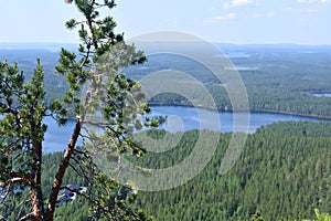 Hiking in Finnish Lapland in Kuusamo, Finland photo