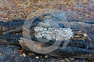 Hiking fire place bbq in forest with small fire and ash