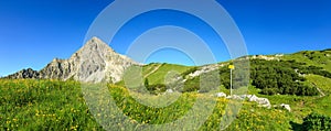 Hiking on flower meadow and steep mountain. Signpost gives directions.