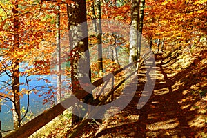 Hiking footpath covered with fallen autumn leaves near blue lake