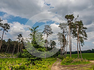 Hiking in the forrests of the german westphalia