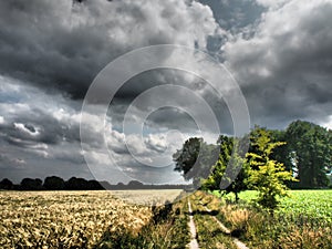 Hiking in the forrests of the german westphalia