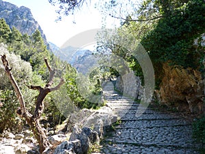 Hiking the GR221 trail on the island of Mallorca photo