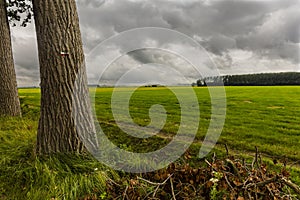 Hiking the GR5 trail in the Benelux