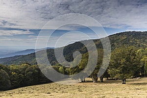 Hiking GR5 through the Vosges