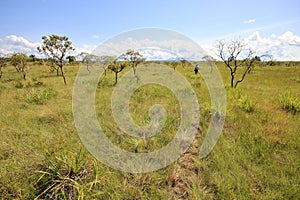 Hiking Gran Sabana, Venezuela