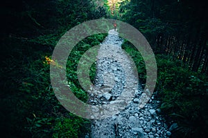 Hiking in green nature. Female Turist walking on the natural patch