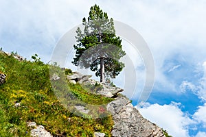 Hiking in the high mountains