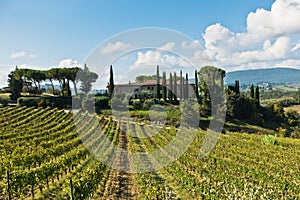 Hiking hills, backroads and vineyards at autumn, near San Gimignano in Tuscany