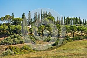 Hiking hills, backroads and vineyards at autumn, near San Gimignano in Tuscany