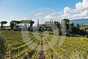 Hiking hills, backroads and vineyards at autumn, near San Gimignano in Tuscany