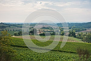 Hiking hills, backroads and vineyards at autumn, near Siena in Tuscany