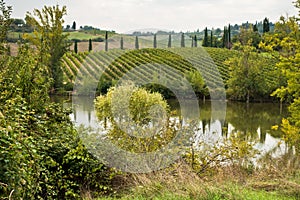 Hiking hills, backroads and vineyards at autumn, near Siena in Tuscany