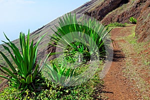 Hiking on island of Sao Nicolau, Cape Verde photo