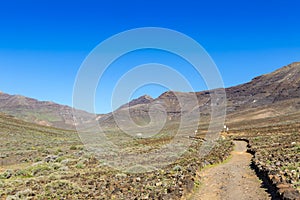 Hiking on Jandia Peninsula, Fuerteventura, Canary Islands, Spain photo