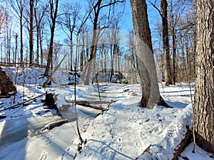 Hiking on a January Morning