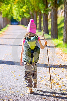 Hiking kid girl with walking stick and backpack rear view