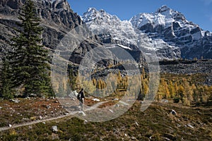 Hiking Lake O\'Hara in autumn, Yoho National Park, Canadian Rockies