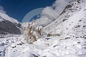 Hiking in Langtang Valley covered in snow