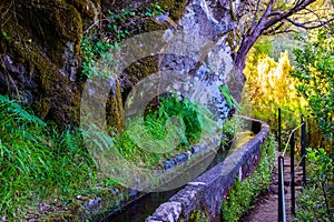 Hiking Levada trail 25 Fontes in Laurel forest - Path to the famous Twenty-Five Fountains in beautiful landscape scenery -