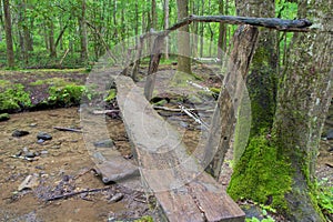 Hiking Log Footbridge In Great Smoky Mountains National Park