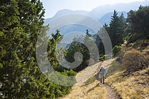 Hiking on Lycian way. Man with backpack is trekking in beautiful nature with yellow grass, coniferous trees, mountain background